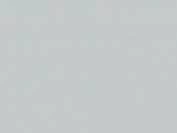 d RAL 7035 серый графит